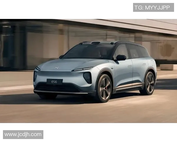 国外热议特斯拉与蔚来竞争态势分析及未来发展趋势探讨