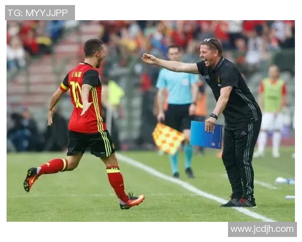 芬兰对阵意大利精彩主播直播全程回顾与分析